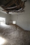 IMG_8230