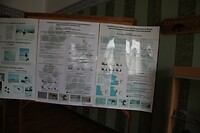 IMG_8262