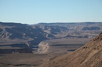 IMG_8343