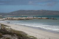 IMG_8407