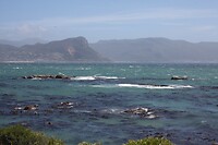 IMG_8413
