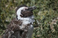 IMG_8429