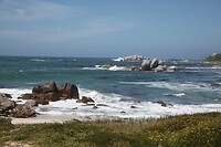 IMG_8451