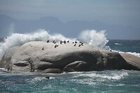 IMG_8461