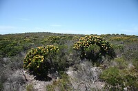 IMG_8477