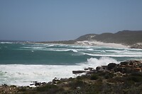 IMG_8517