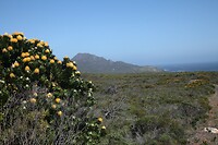 IMG_8546