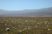 IMG_8554
