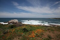 IMG_8789