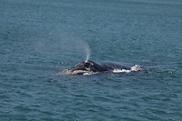 IMG_8908