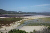 IMG_9042