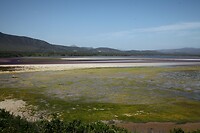 IMG_9044