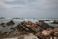 IMG_9068