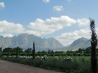 DSCN2782