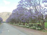 DSCN2979