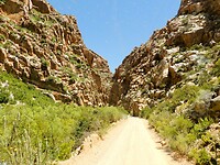 DSCN3079