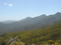 DSCN3204