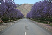 IMG_9157