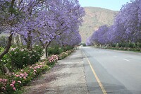 IMG_9159