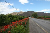 IMG_9160