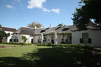 IMG_9184