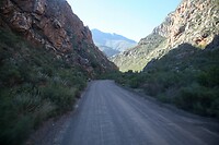 IMG_9202