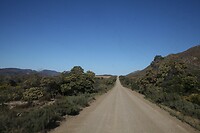 IMG_9211