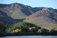IMG_9225