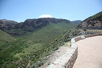 IMG_9228