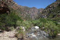 IMG_9237