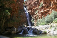 IMG_9247
