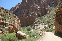 IMG_9258