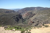IMG_9260