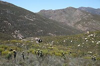 IMG_9262