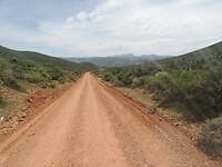 DSCN3319