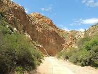 DSCN3385