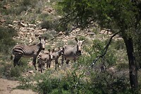IMG_0022