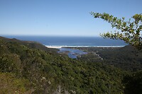 IMG_9415
