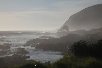 IMG_9450