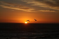 IMG_9490