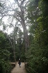 IMG_9533