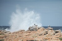 IMG_9577