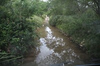 IMG_9607