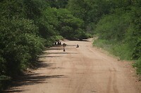 IMG_9629