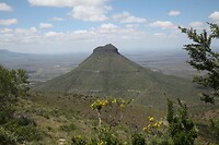 IMG_9663