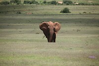 IMG_9757