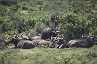 IMG_9799
