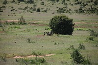 IMG_9814