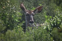 IMG_9833