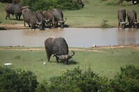 IMG_9840
